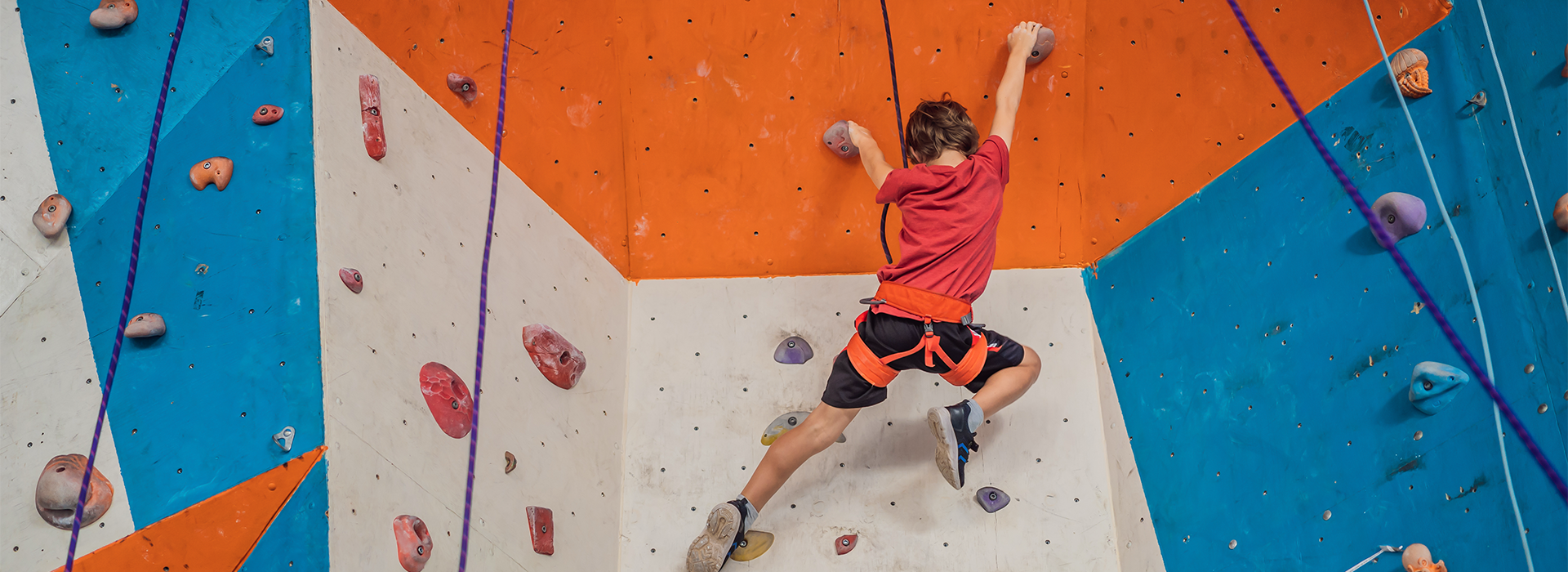 Indoor Multi Sports Arenas